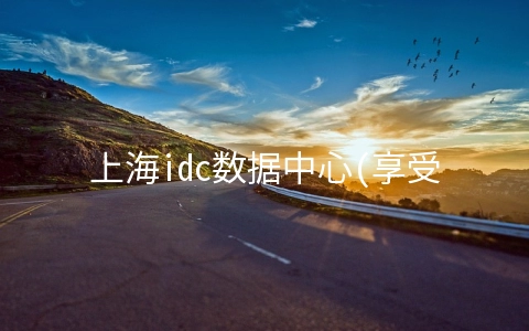 上海idc数据中心(享受高成长：国内数据中心IDC全分析(附19年机柜排名)】)