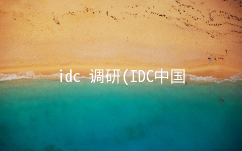 idc 调研(IDC中国首席分析师武连峰：未来5年为数字化黄金期)