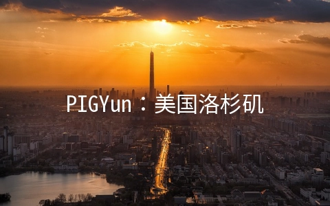 PIGYun:美国洛杉矶/韩国VPS七月6折月付14.4元起