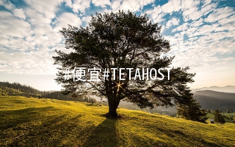 TETAHOST：1核/512M内存/10G NVMe/2T流量/1Gbps/KVM/法国/年付$17.65