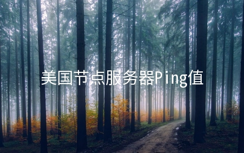 美国节点服务器Ping值的影响因素有哪些