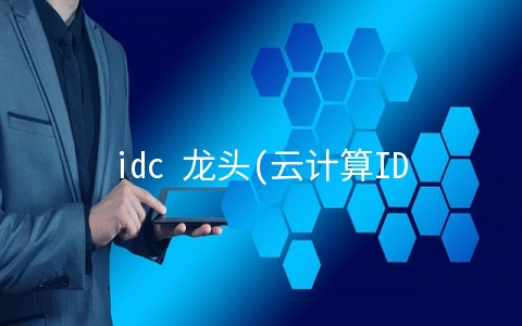idc 龙头(云计算IDC服务商哪家强？IDC龙头个股一览)