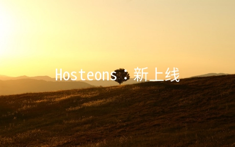 Hosteons：新上线美国100G高防VPS，年付$16.8起，1.5G内存套餐可使用windows