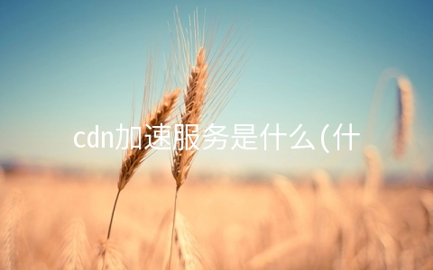 cdn加速服务是什么(什么是CDN加速？有什么好处？)