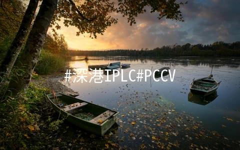 #深港IPLC#PCCV：1核/1G/20G硬盘/1T流量/15Mbps/1个IP/月付$39