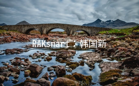 RAKsmart：韩国新品上市，E5-2620v3 *2仅$92，站群首月半价，L5630仅$46，香港VPS季付$9.9