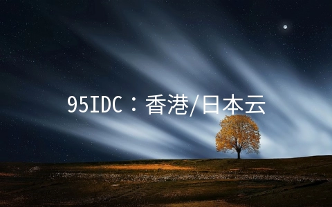 95IDC：香港/日本云主机季付5折75元/季度起