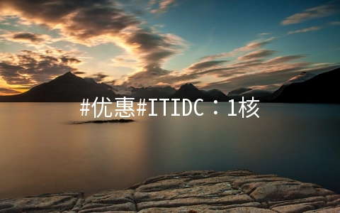 #优惠#ITIDC：1核/1G/10G SSD/100Mbps不限流量/首年€16.5,新加坡等11机房可选，附购买教程