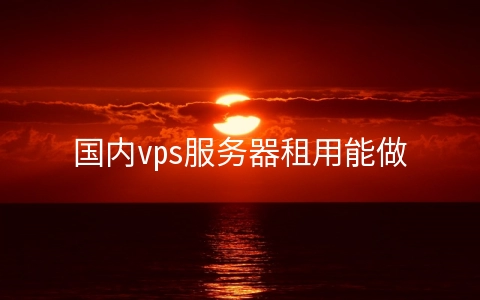 国内vps服务器租用能做什么