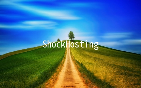 ShockHosting全场VPS五折,2G内存套餐$5/月起,可选大硬盘