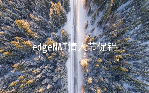 edgeNAT情人节促销：全场VPS买一送一