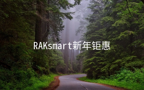 RAKsmart新年钜惠：E3服务器秒杀$30/月起,新上韩国服务器,香港/日本/美国站群服务器,VPS月付$1.99起,GPU服务器,高防服务器