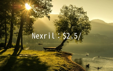 Nexril：$2.5/首月KVM-1GB/15G SSD/1.5TB 达拉斯
