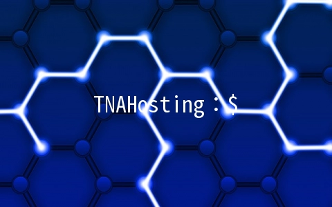 TNAHosting：$2.5/月OpenVZ-512MB/15GB/5TB 亚特兰大