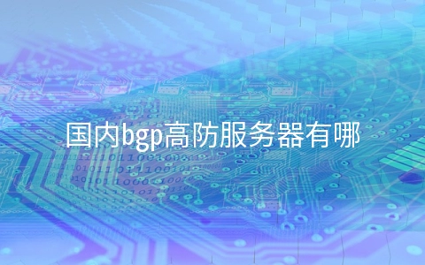 国内bgp高防服务器有哪些优势 高防云主机国内bgp