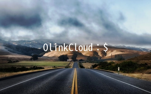 OlinkCloud：$4/月KVM-1GB/10G SSD/500GB/德国