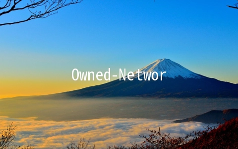 Owned-Networks：$15/年OpenVZ-768MB/20G SSD/500GB 达拉斯&纽约