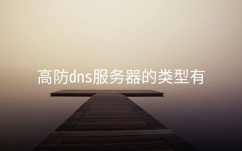高防dns服务器的类型有哪些