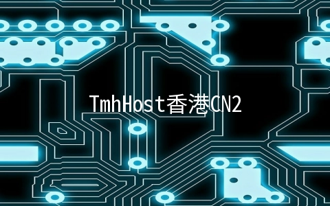 TmhHost香港CN2高防服务器上线及简单测试