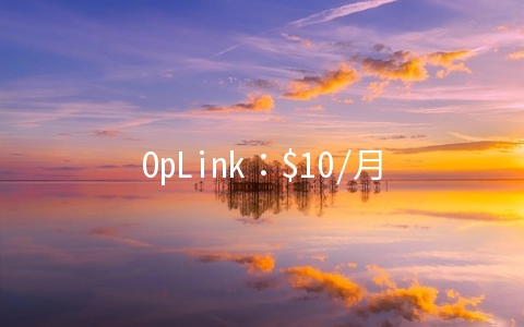 OpLink：$10/月KVM-2GB/500GB/4TB 休斯敦