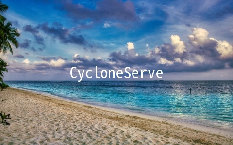 CycloneServers：$3.2/月KVM-1GB/30GB/2TB 洛杉矶&西雅图