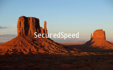 SecuredSpeed：$3.4/月OpenVZ-1GB/30GB/1TB 洛杉矶&迈阿密