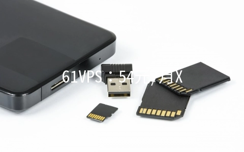 61VPS：54元/月XEN-1GB/50GB/2M无限 香港