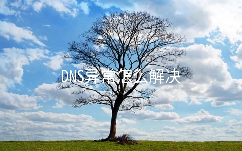 DNS异常怎么解决