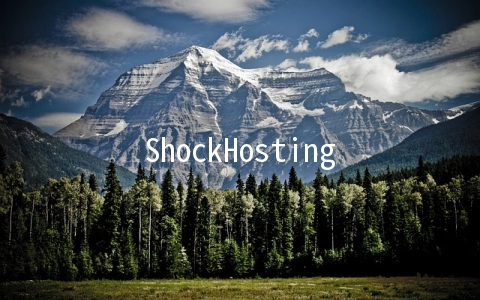 ShockHosting：大硬盘KVM月付5美元起,可选6个机房,支持支付宝