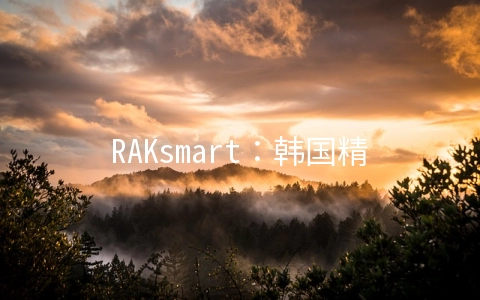 RAKsmart:韩国精品网CN2线路,10-100M带宽,双E5服务器每月76美元起