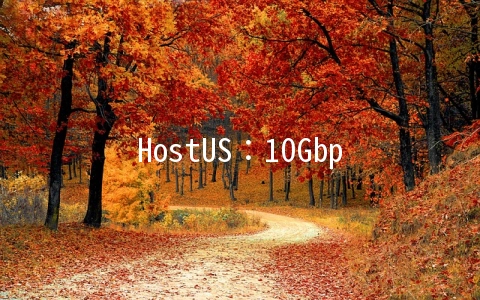HostUS：10Gbps带宽荷兰KVM上线,月付2.5美元起