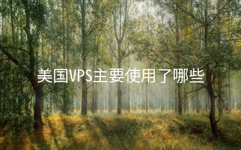 美国VPS主要使用了哪些技术