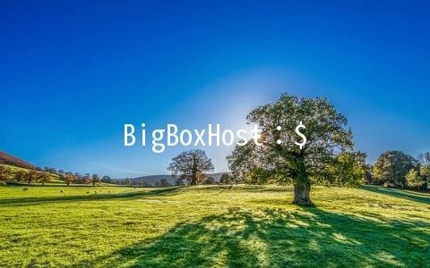 BigBoxHost：$4.5/月KVM-1GB/10G SSD/1TB 洛杉矶&芝加哥