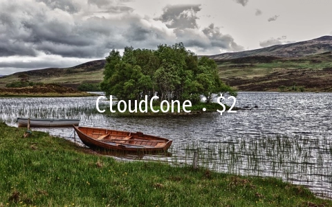 CloudCone：$2/月KVM-512MB/15GB/3TB/洛杉矶(MC)/小时计费