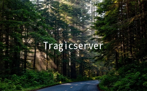 Tragicservers：$5.99/年OpenVZ-128MB/5GB/500GB 洛杉矶