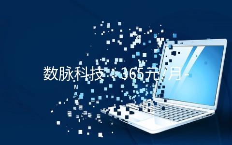 数脉科技：365元/月-E3 1230v2/16GB/1TB/10M/3IP/香港服务器
