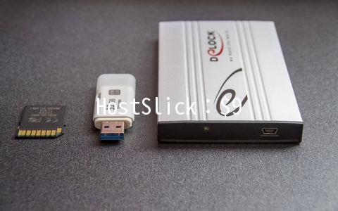 HostSlick：$9.99/月KVM-2GB/200GB/2TB/2IP 米兰