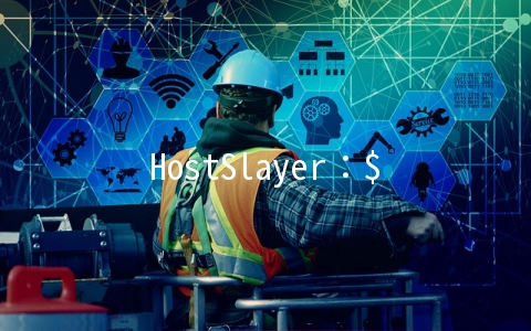 HostSlayer：$1.99/月OpenVZ-1GB/25GB/1TB 新泽西