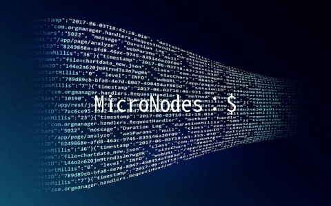 MicroNodes：$3.75/月KVM-512MB/20GB/500GB 西雅图