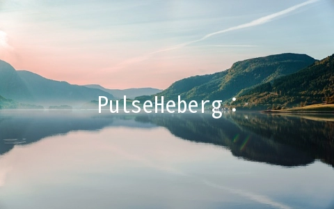 PulseHeberg：法国大盘机，不限流量，1Gbps，全场6折优惠，月付低至3欧元