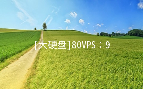 [大硬盘]80VPS：98元/月KVM-1GB/375GB/5TB 德国