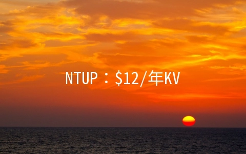 NTUP：$12/年KVM-512MB/5G SSD/1G无限流量/乌克兰