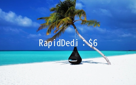 RapidDedi：$6/月KVM-1GB/15G SSD/500GB 纽约