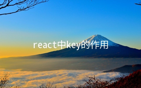 react中key的作用是什么 - web开发