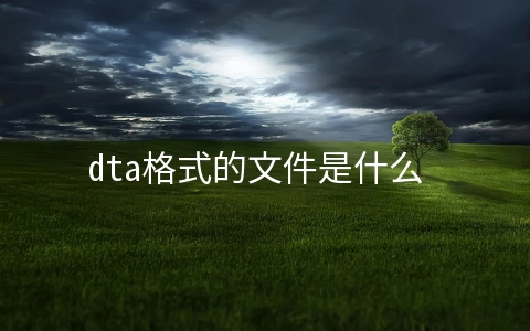 dta格式的文件是什么 - 互联网科技