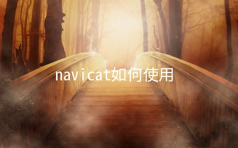 navicat如何使用 - 数据库