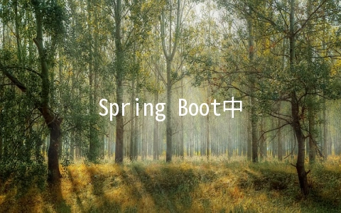 Spring Boot中如何使用AOP统一处理web层异常 - 编程语言