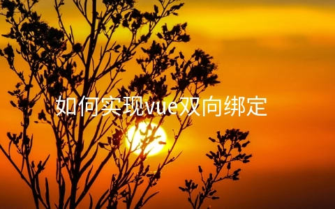 如何实现vue双向绑定 - web开发