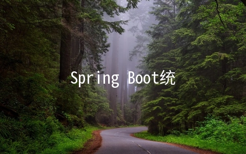 Spring Boot统一异常处理详解 - 编程语言