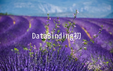 DataBinding初识 - 移动开发